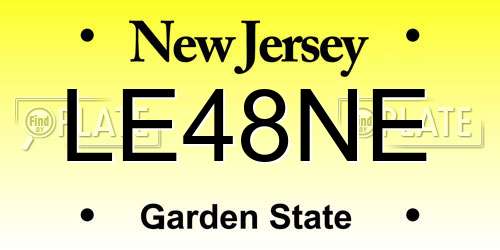 LE48NE New Jersey License Plate