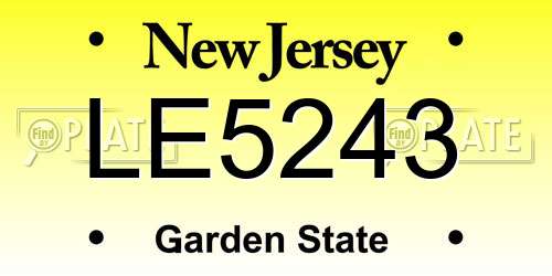 LE5243 New Jersey License Plate