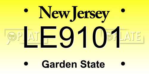 LE9101 New Jersey License Plate