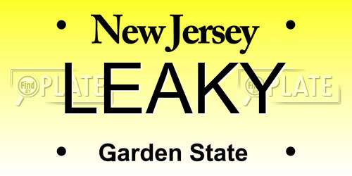 LEAKY New Jersey License Plate