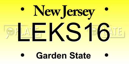 LEKS16 New Jersey License Plate