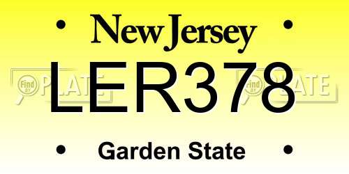LER378 New Jersey License Plate