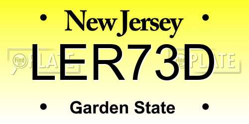 LER73D New Jersey License Plate