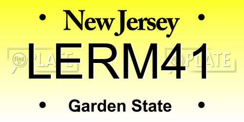 LERM41 New Jersey License Plate