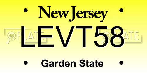 LEVT58 New Jersey License Plate