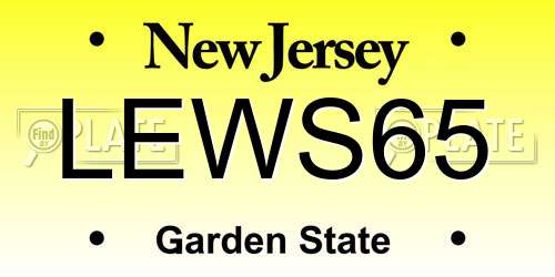 LEWS65 New Jersey License Plate