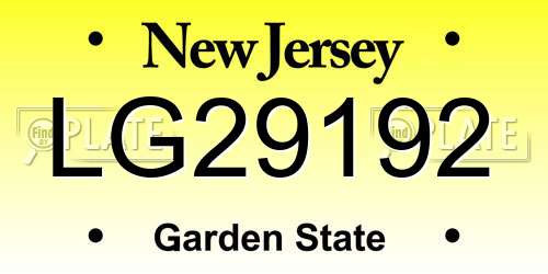LG29192 New Jersey License Plate