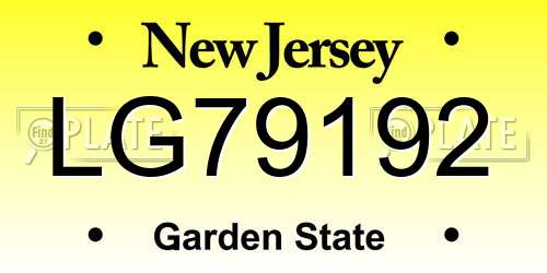 LG79192 New Jersey License Plate