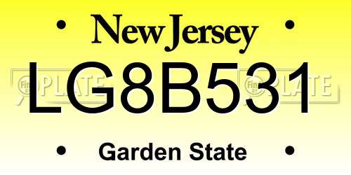 LG8B531 New Jersey License Plate