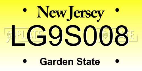 LG9S008 New Jersey License Plate
