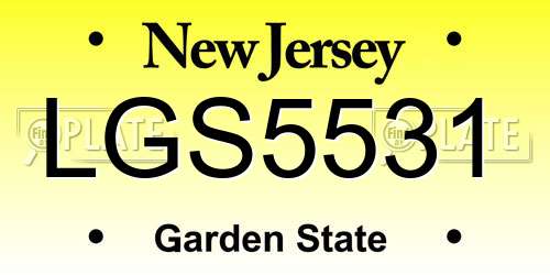 LGS5531 New Jersey License Plate
