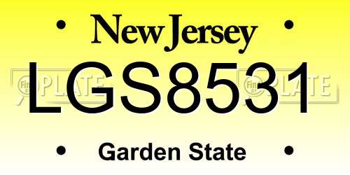 LGS8531 New Jersey License Plate