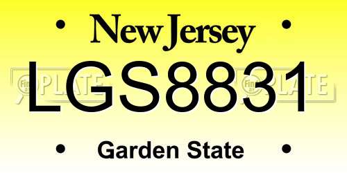 LGS8831 New Jersey License Plate