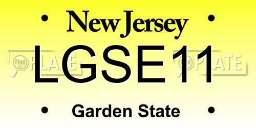 LGSE11 New Jersey License Plate