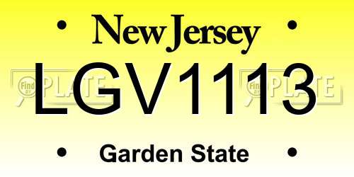 LGV1113 New Jersey License Plate