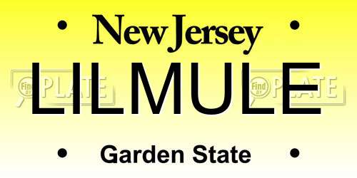 LILMULE New Jersey License Plate
