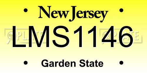 LMS1146 New Jersey License Plate