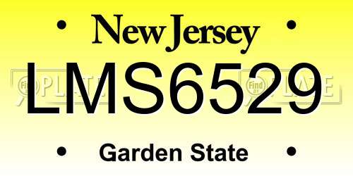 LMS6529 New Jersey License Plate