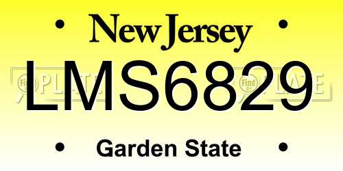 LMS6829 New Jersey License Plate