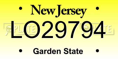 LO29794 New Jersey License Plate