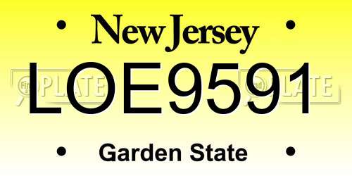 LOE9591 New Jersey License Plate