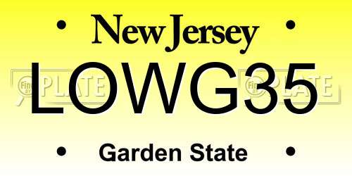 LOWG35 New Jersey License Plate