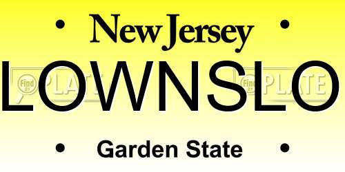 LOWNSLO New Jersey License Plate