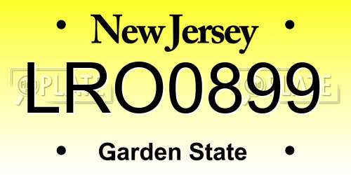 LRO0899 New Jersey License Plate