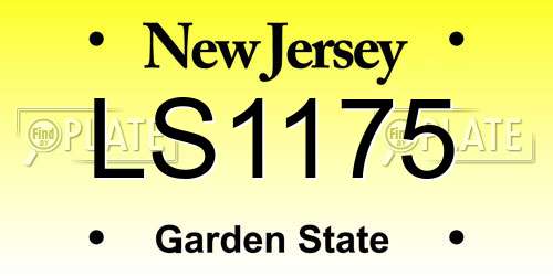 LS1175 New Jersey License Plate