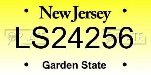 LS24256 New Jersey License Plate