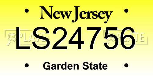 LS24756 New Jersey License Plate