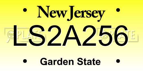 LS2A256 New Jersey License Plate
