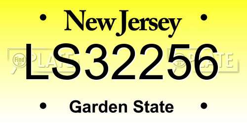 LS32256 New Jersey License Plate