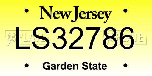 LS32786 New Jersey License Plate