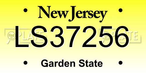 LS37256 New Jersey License Plate