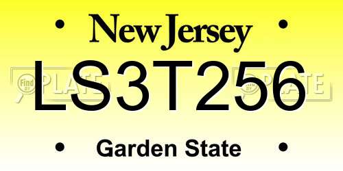 LS3T256 New Jersey License Plate