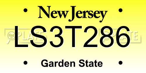 LS3T286 New Jersey License Plate