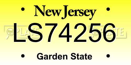 LS74256 New Jersey License Plate