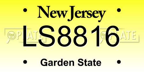 LS8816 New Jersey License Plate