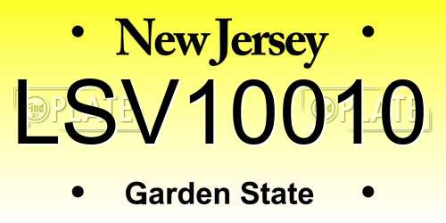 LSV10010 New Jersey License Plate
