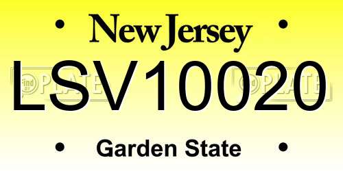 LSV10020 New Jersey License Plate