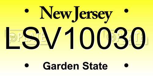 LSV10030 New Jersey License Plate