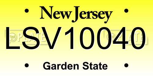 LSV10040 New Jersey License Plate