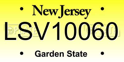 LSV10060 New Jersey License Plate