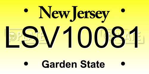 LSV10081 New Jersey License Plate