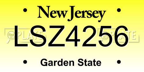 LSZ4256 New Jersey License Plate