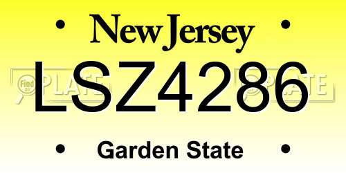LSZ4286 New Jersey License Plate