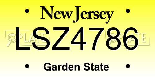 LSZ4786 New Jersey License Plate