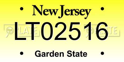 LT02516 New Jersey License Plate
