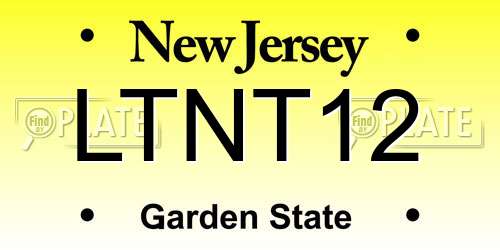 LTNT12 New Jersey License Plate